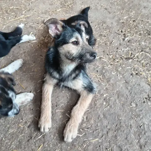 Sam photo 2