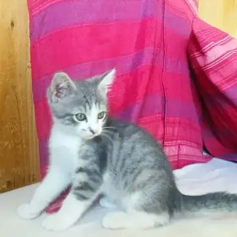 Billy