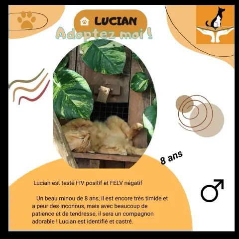 Lucian
