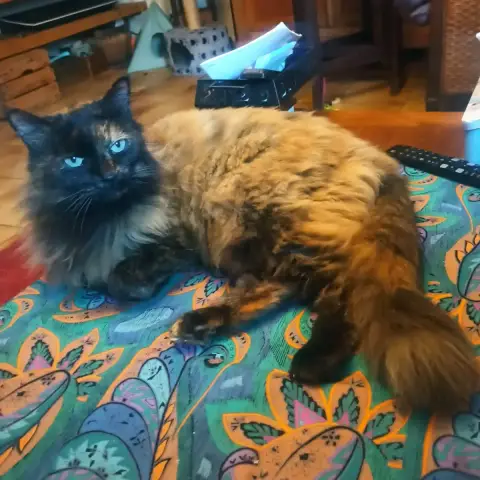 Féérie
