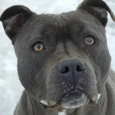 Jack photo 2