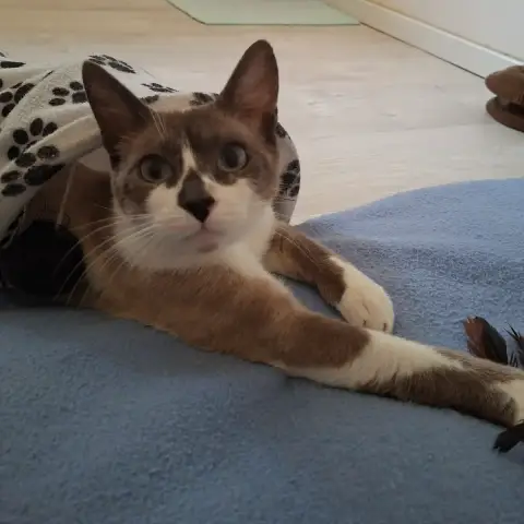Naboo photo 2