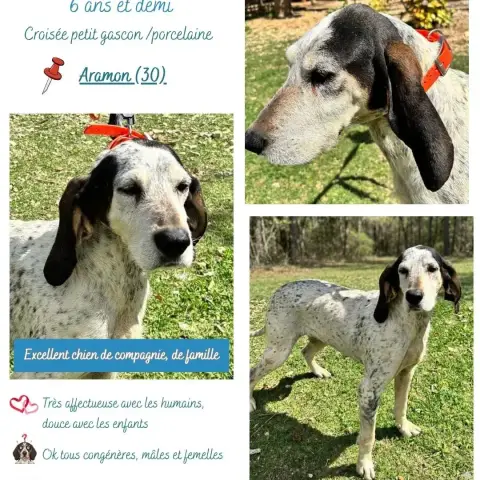 Poupée