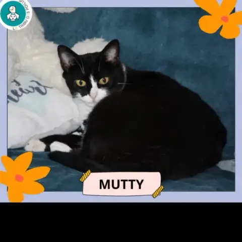 Mutty