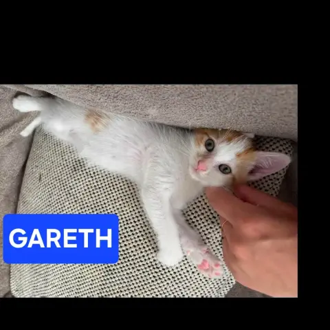 Dean Et Gareth photo 2
