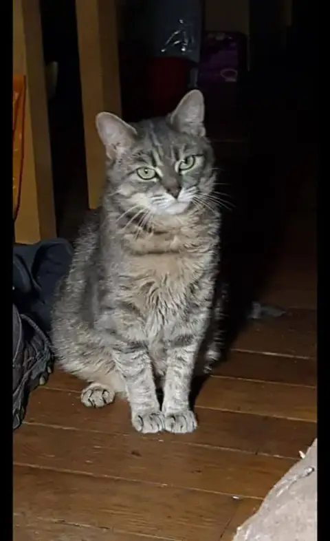 Molly photo 3