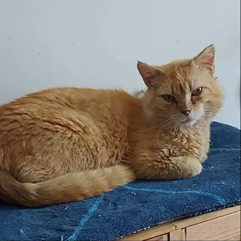 Billy