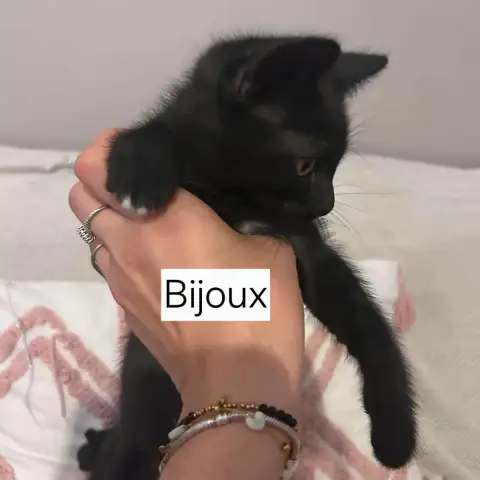 Bijoux