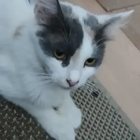 Bella photo 2