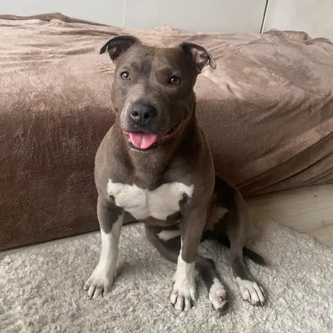 Nala