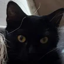 Abby