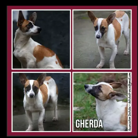 Gherda