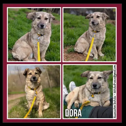 Dora