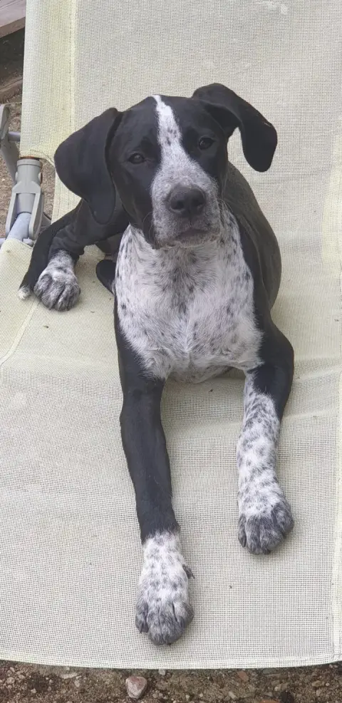 Zoe
