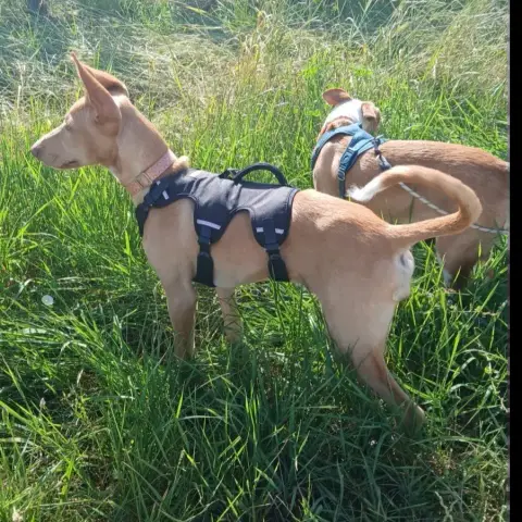Maggie photo 3