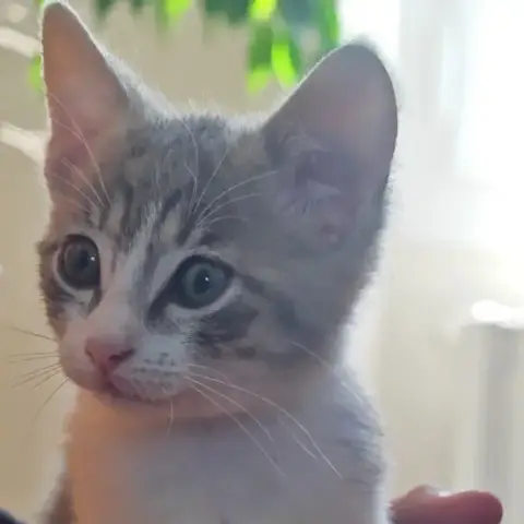 Mélia photo 3