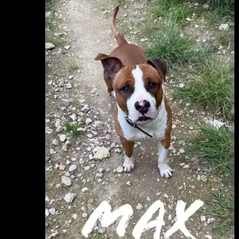 Max