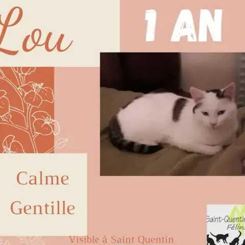 Lou