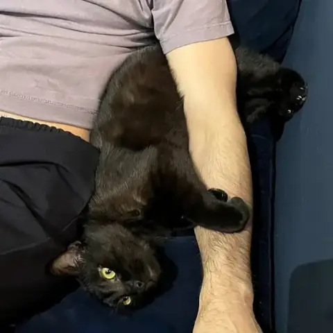 Hercule