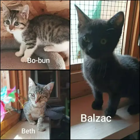 Balzac photo 3