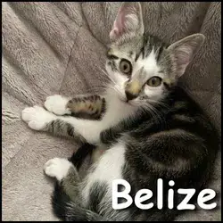 Belize