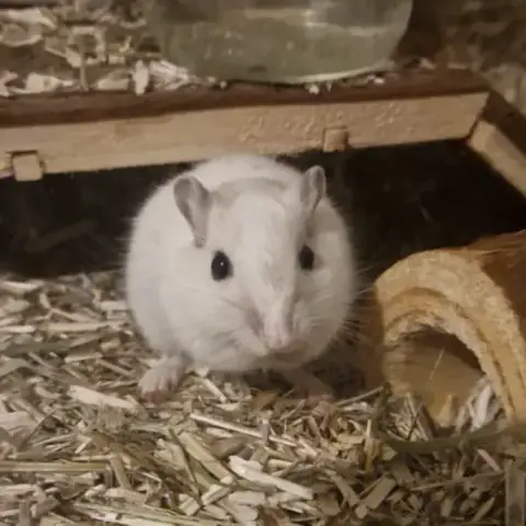Ben