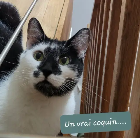 Paquito photo 2