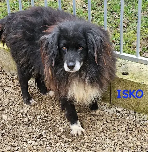 Isko & Igor