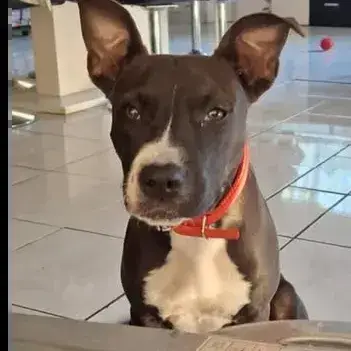 Tina