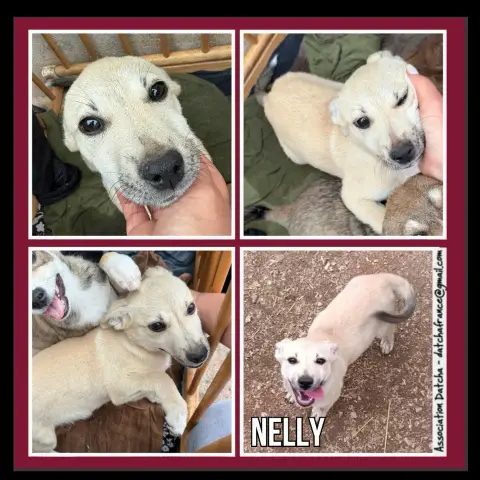 Nelly