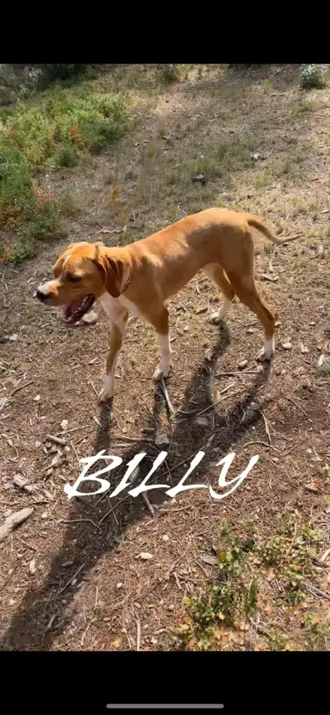 Billy