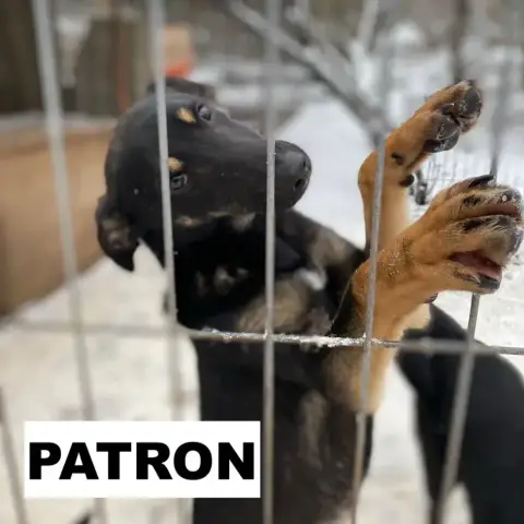 Patron photo 3