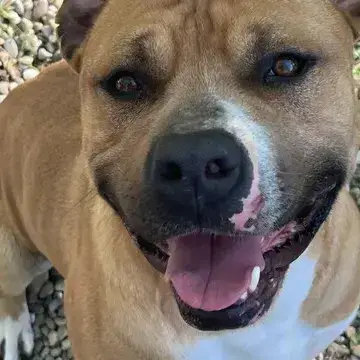 Marley
