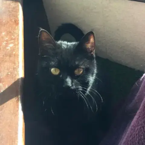 Lola photo 2
