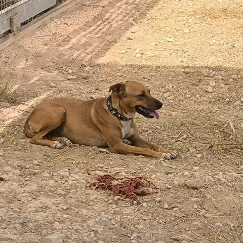Cintia photo 2