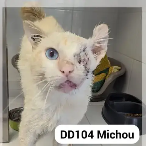 Michou