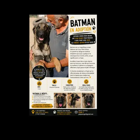 Batman photo 3