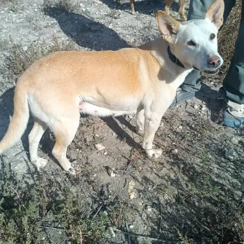 Marisol photo 2