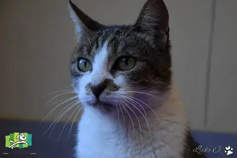 Hermione