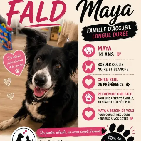 Maya