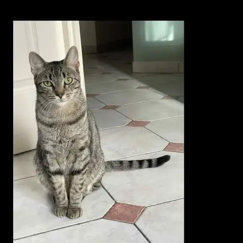 Marco