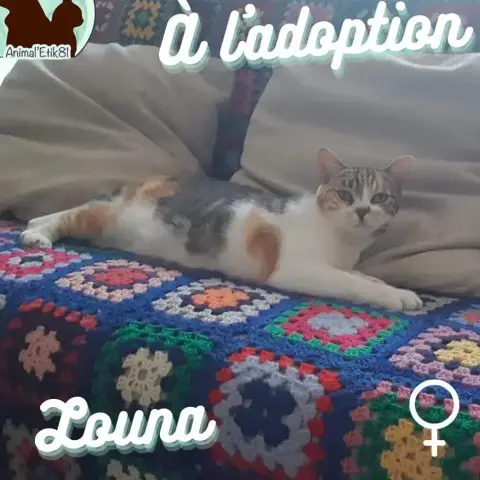 Louna