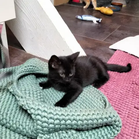 Luna photo 3