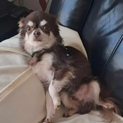 Narko