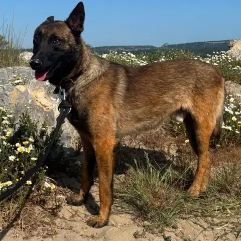 Akila photo 2