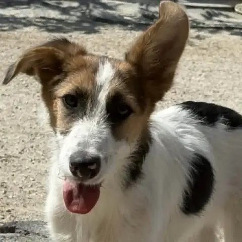 Jorge Jr photo 3