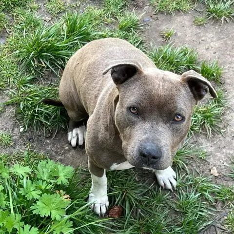Nala photo 3