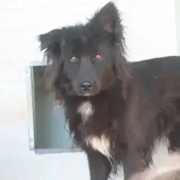 Eowyn photo 2