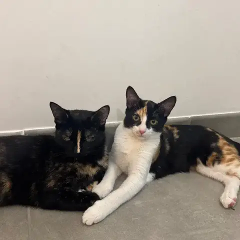 Mac & Lola