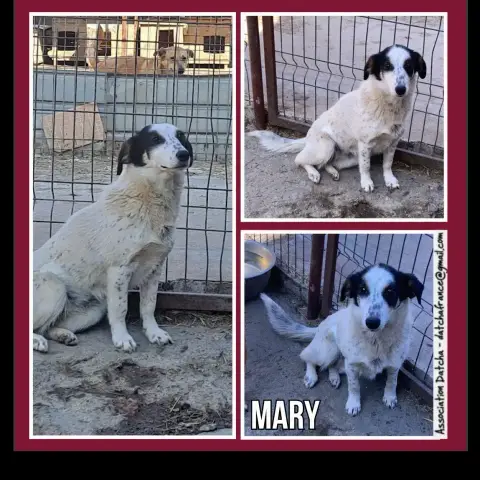 Mary